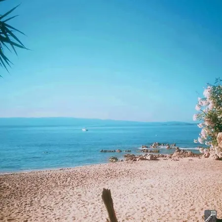 Magnifique T2 Vue Sanguinaires Lejlighed Ajaccio (Corsica)